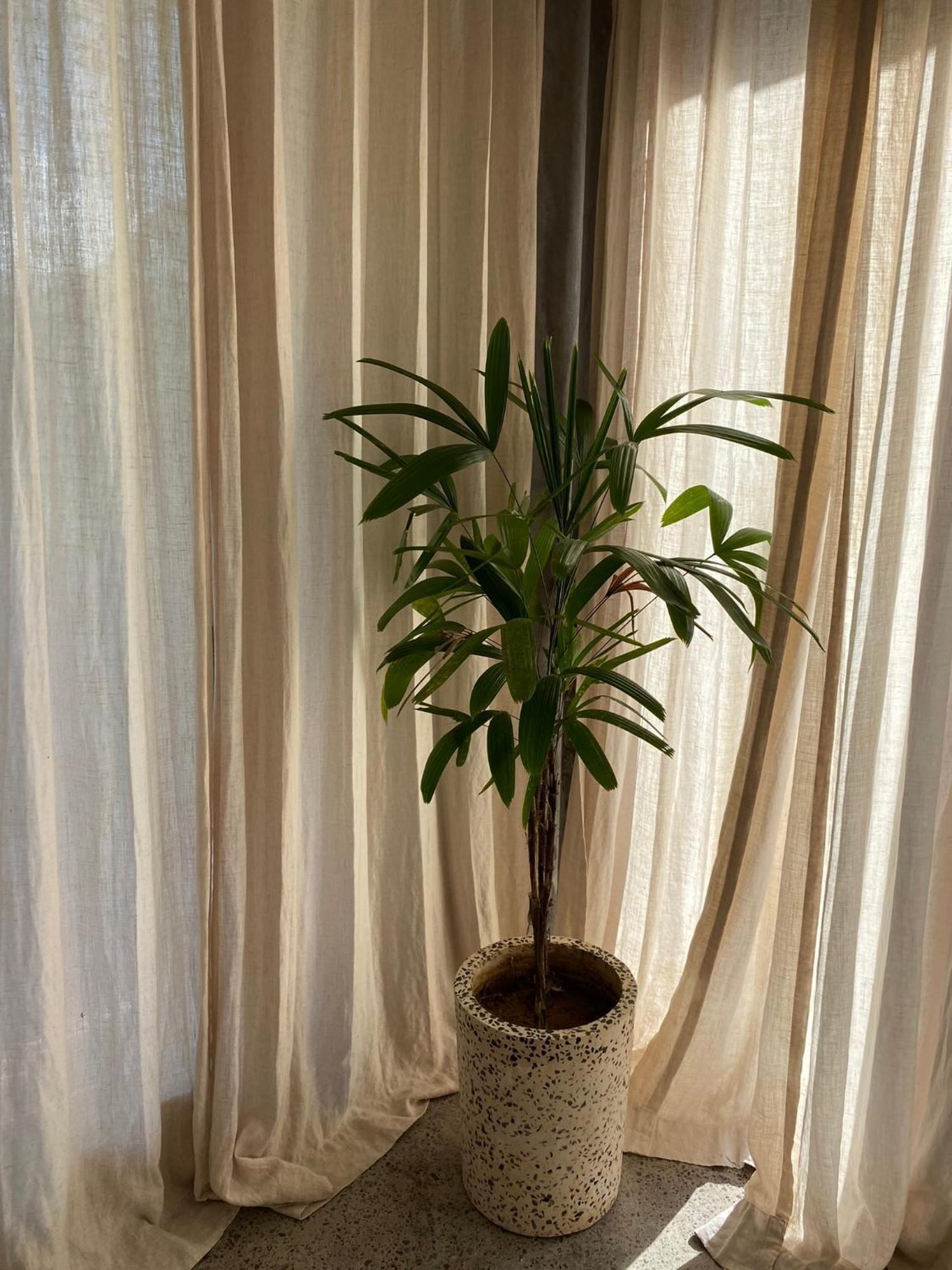Villa Fig - Private 2 Bedroom Villa 坎古 外观 照片