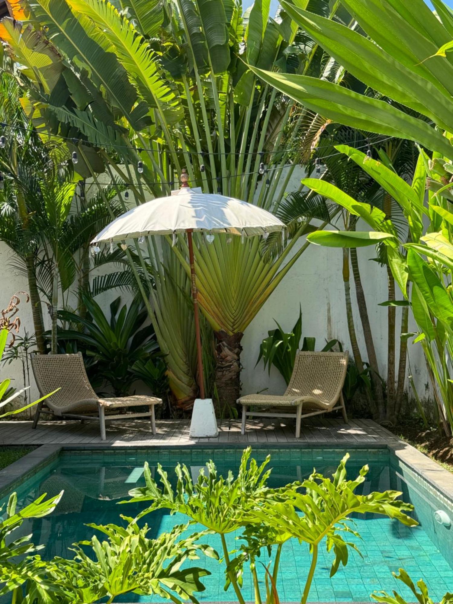 Villa Fig - Private 2 Bedroom Villa 坎古 外观 照片