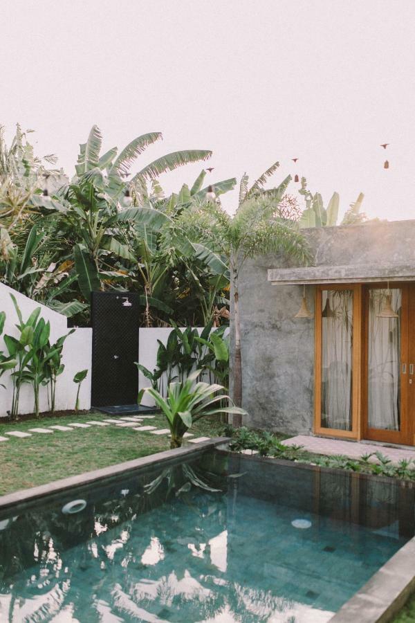 Villa Fig - Private 2 Bedroom Villa 坎古 外观 照片